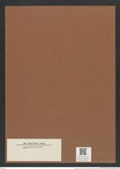 Actinoptychus sp. (de-Toni-Nr.: Genus 227) Zeichnungen Sammlung Grunow Mappe 05375 (Herbarium_W_Grunow_drawings_Folder_05375)